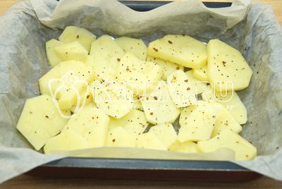 Форму для запекания застелить пергаментом и смазать маслом, выложить слой кружочками нарезанного картофеля, немного посолить и поперчить.