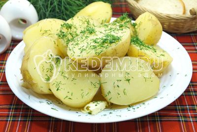 Молодой картофель с укропом