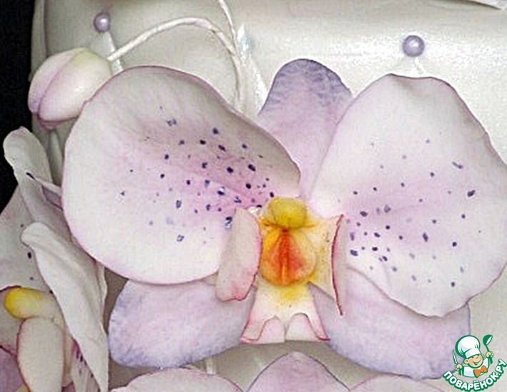 Рецепт: Орхидея фаленопсис их сахарной мастики