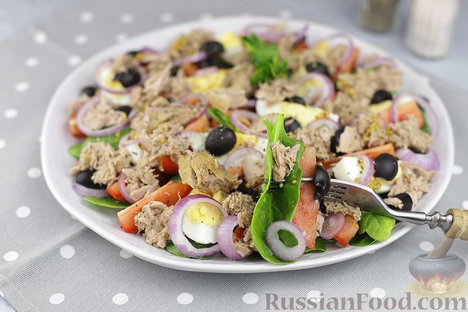 Фото к рецепту: Салат с тунцом, яйцами, помидорами, красным луком и шпинатом